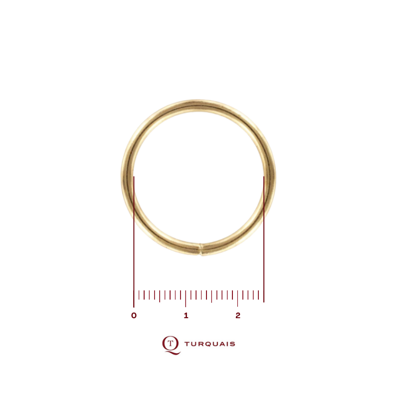 Anneau soudé 25 Fil 3.4...